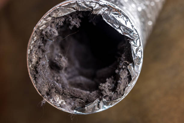Best Affordable Air Duct Cleaning  in Ladysmith, WI