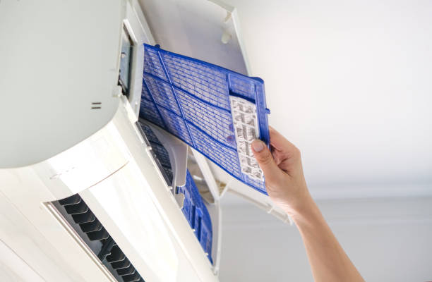 Best Home Air Vent Cleaning  in Ladysmith, WI